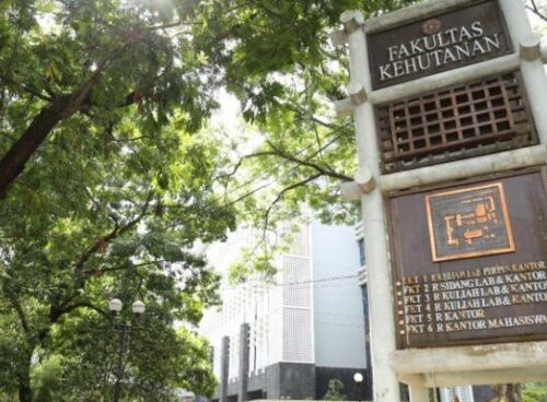 Profil Fakultas Kehutanan UGM, Tempat Jokowi Berkuliah