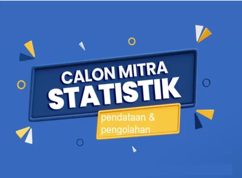 Cara Mudah Mendaftar Mitra BPS 2024, Lulusan SMA Bisa Ikut!
