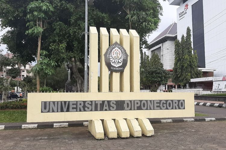 International Undergraduate Program (IUP) 2024: Pintu Gerbang Menuju Pendidikan Kelas Dunia